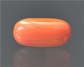 Natural Coral  16.26RTS-24879